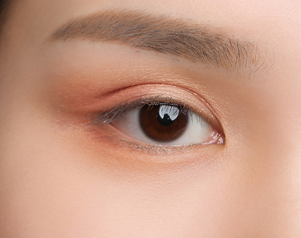 3眼妆步骤三在上眼睑涂抹橘咖色，宽度大概为双眼皮略宽一点的位置.jpg